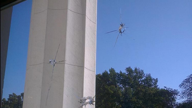 Заворушення під Радою.