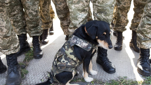 Гуманітарна допомога від Марини Порошенко