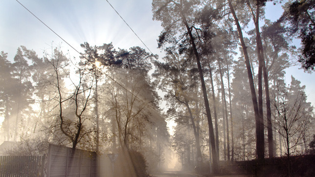 Улицы города в дыму.