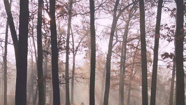 Улицы города в дыму.