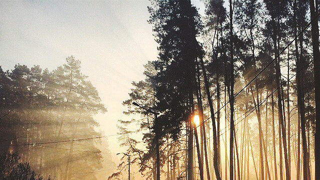 Улицы города в дыму.