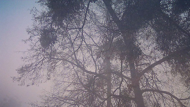 Улицы города в дыму.