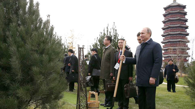 На аллее почётных гостей будут расти пышные сосны.