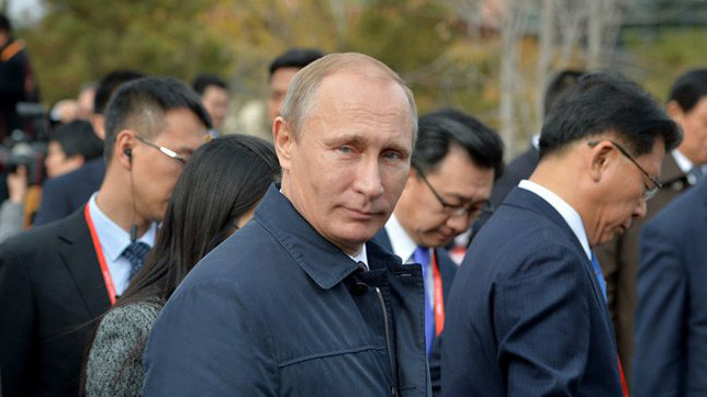 На аллее почётных гостей будут расти пышные сосны.