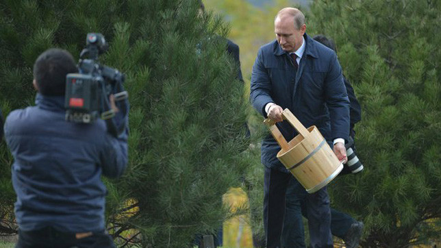 На аллее почётных гостей будут расти пышные сосны.