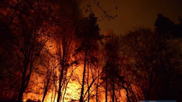 Пламя потушили ближе к полуночи.