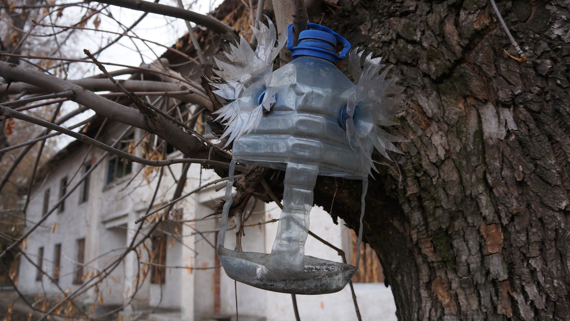 Поселок на окраине Донецка