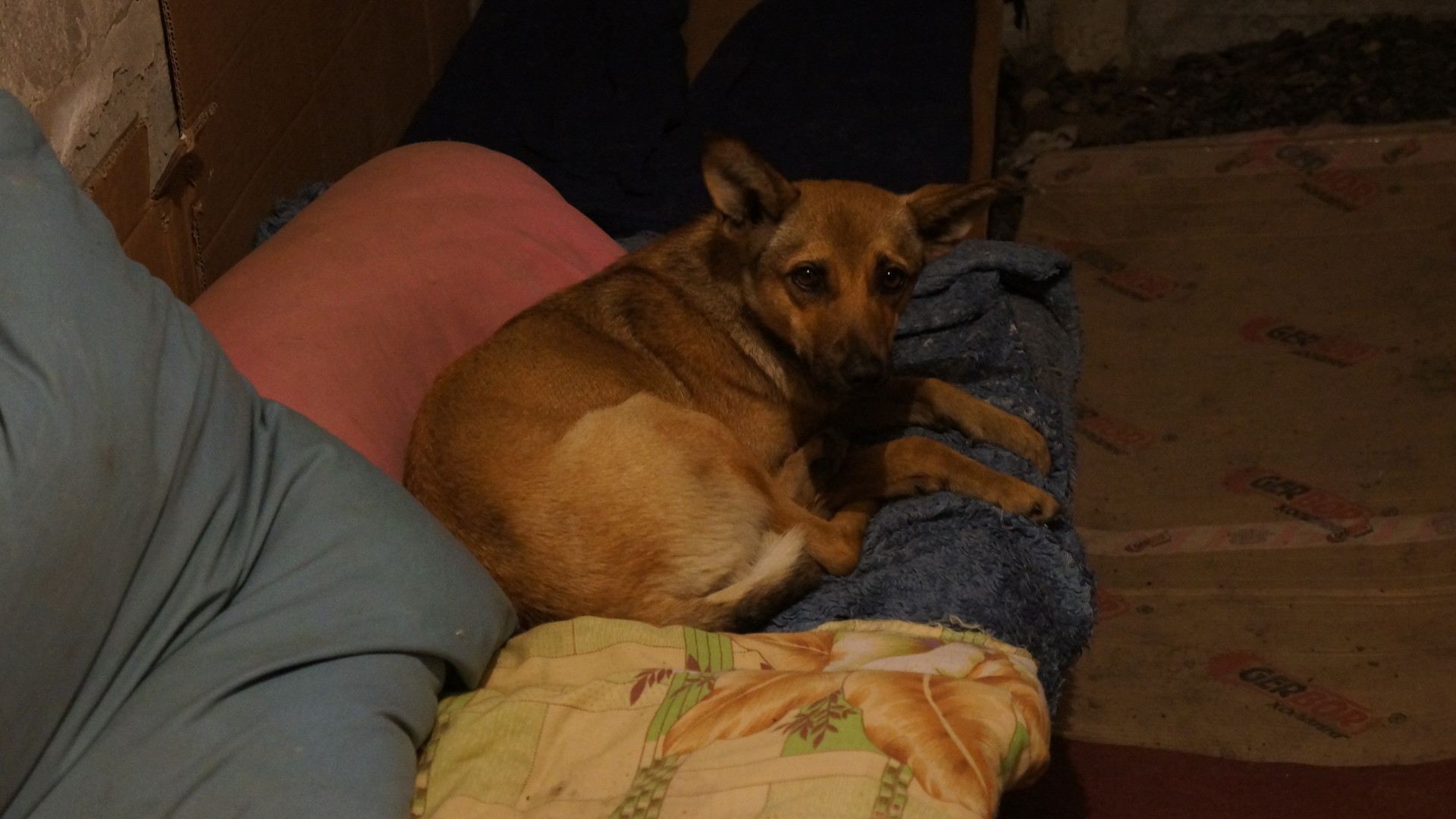 Поселок на окраине Донецка