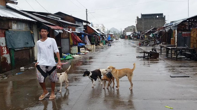 Последствия тайфуна "Хагупит".