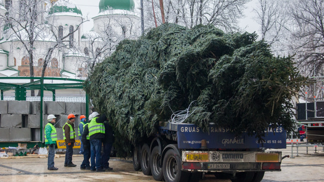 Украшать киевскую елку будут неделю.
