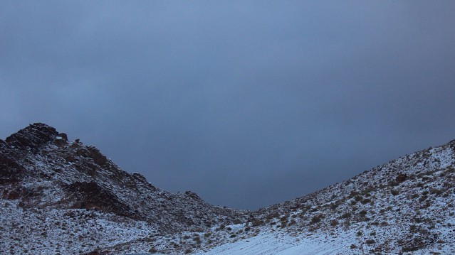 Саудиты обрадовались снегу.