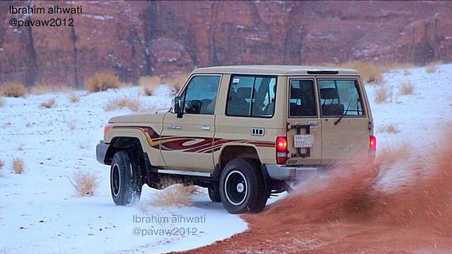 Саудиты обрадовались снегу.