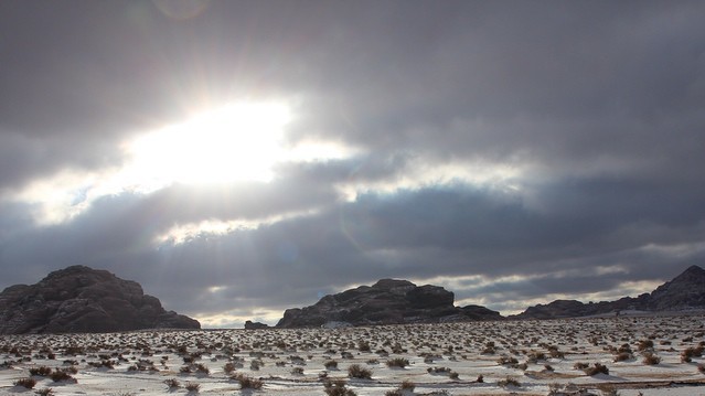 Саудиты обрадовались снегу.
