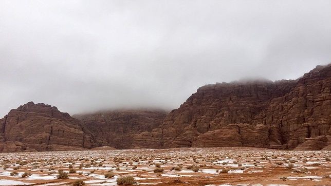 Саудиты обрадовались снегу.
