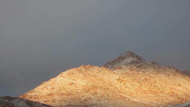 Саудиты обрадовались снегу.