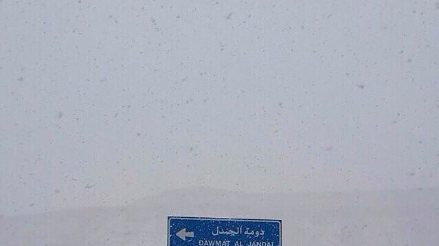 Саудиты обрадовались снегу.