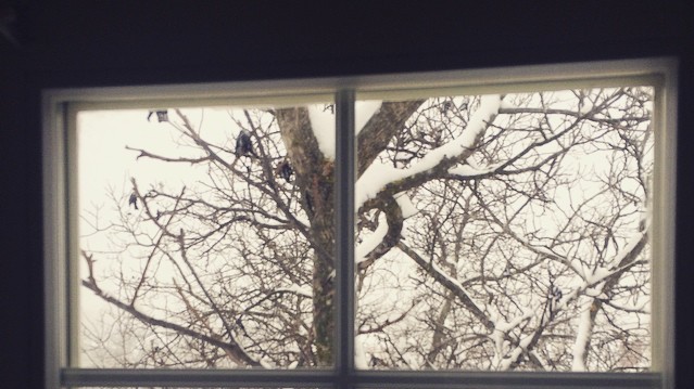 Снег преобразил пейзажи Киева