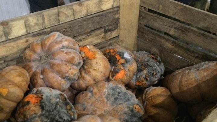 Овощи на складе рынка "Азовский" пролежали три недели
