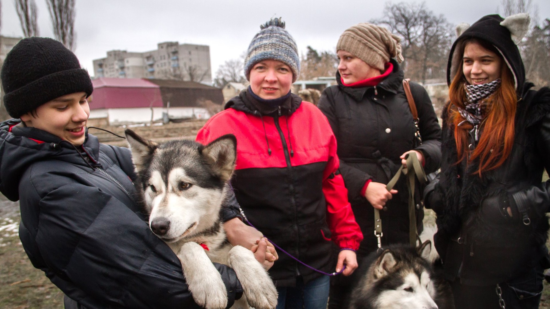 Доброзичливі собаки були раді увазі людей