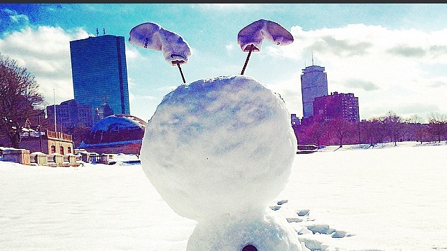 Жителі Бостона не втрачають почуття гумору