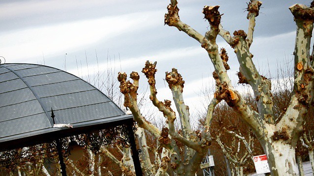 Повінь в Іспанії