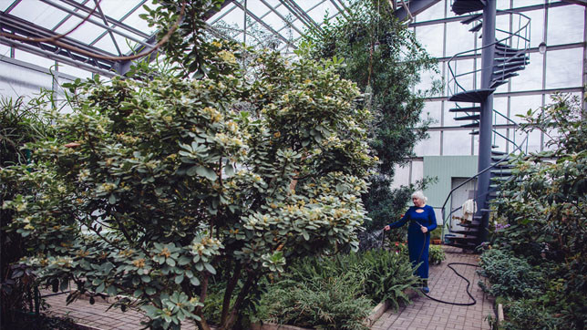 Реалії Донбасу