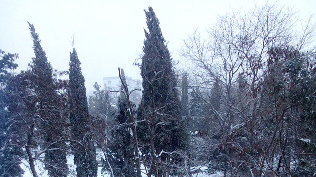 Неожиданный снег в марте удивил жителей Крыма