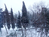 Неожиданный снег в марте удивил жителей Крыма