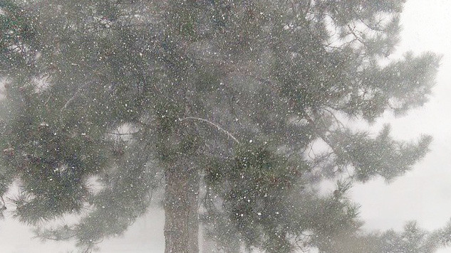 Неожиданный снег в марте удивил жителей Крыма