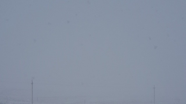 Неожиданный снег в марте удивил жителей Крыма