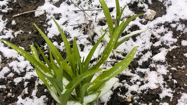 Неожиданный снег в марте удивил жителей Крыма