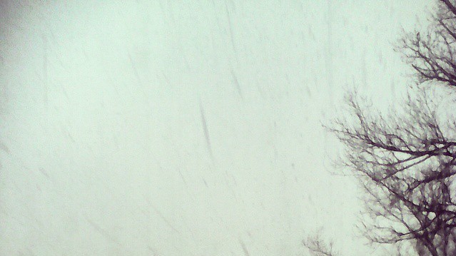 Неожиданный снег в марте удивил жителей Крыма