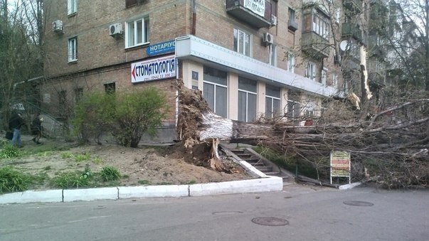 Последствия урагана в Киеве