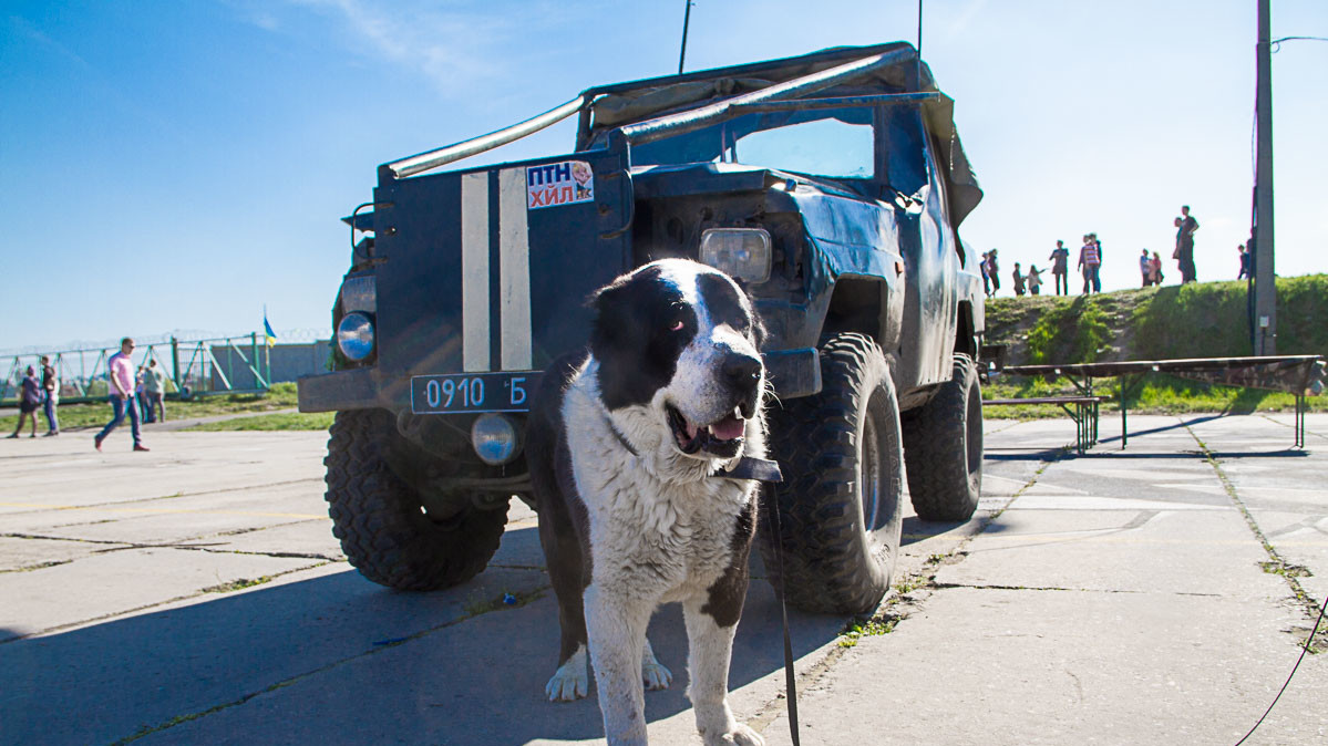 В фестивале участвовали украинские и беларусские экипажи