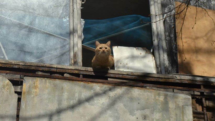 Донецьк. Квітень 2015 р.