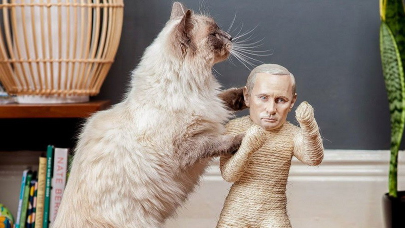 Котики проти цензури