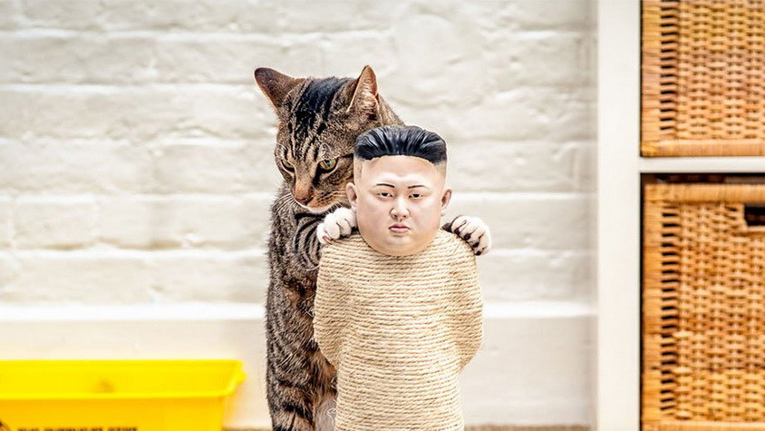 Котики проти цензури