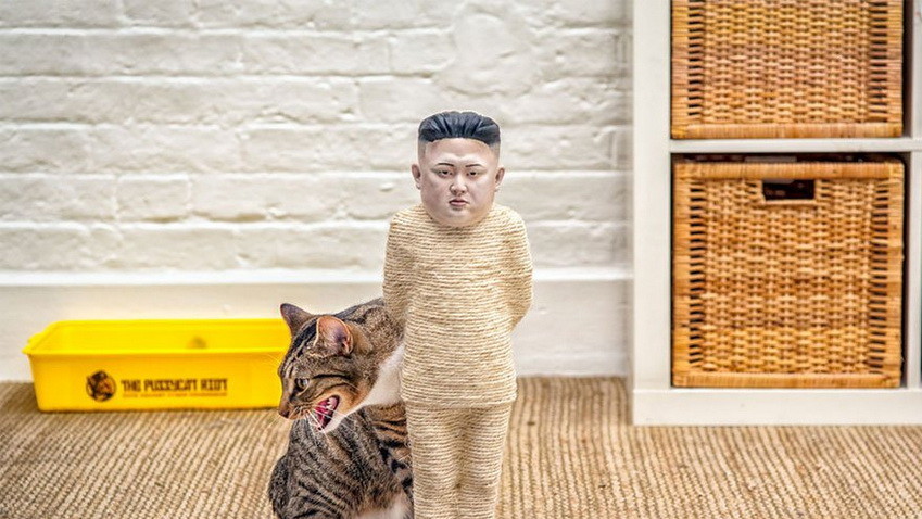 Котики проти цензури