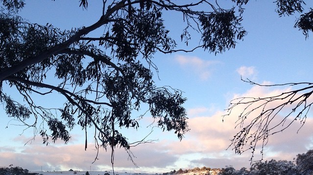 Австралия под снегом