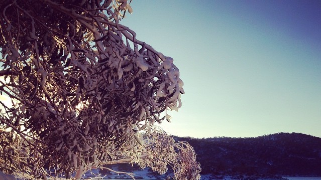 Австралия под снегом