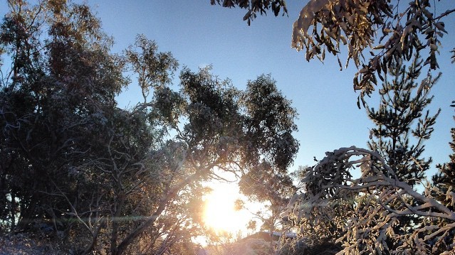 Австралия под снегом