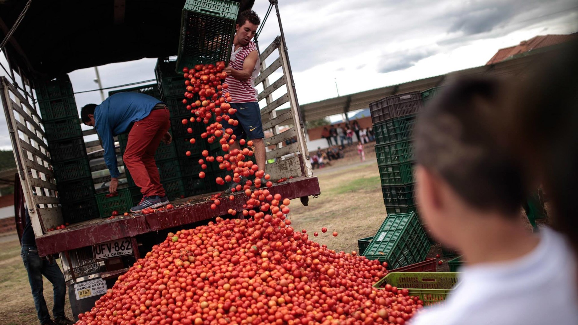 Під час битви учасники закидають один одного помідорами