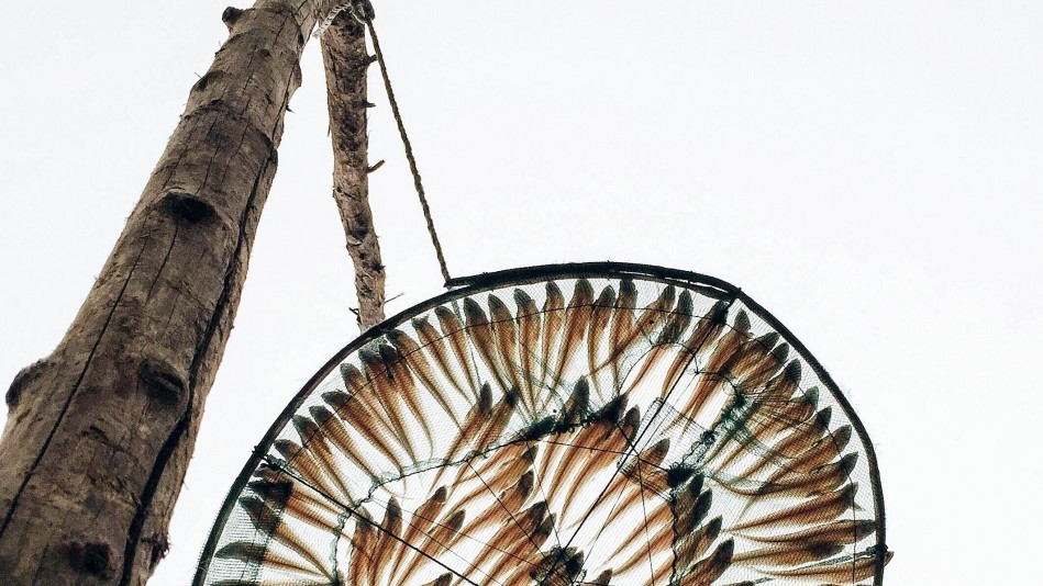 Лауреатами конкурсу стали 57 фотографів з різних країн