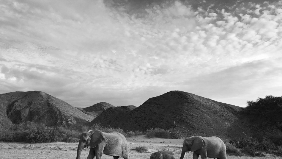 Лауреатами конкурсу стали 57 фотографів з різних країн