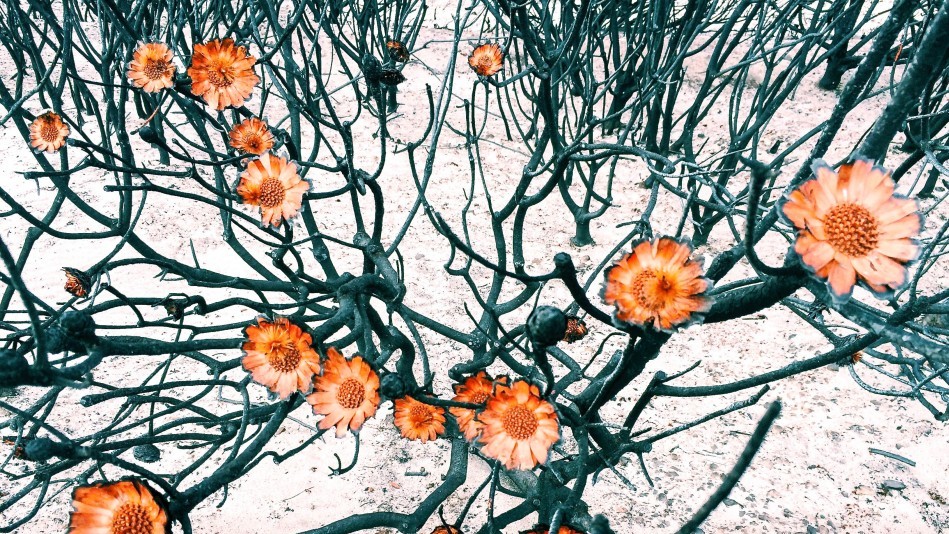 Лауреатами конкурсу стали 57 фотографів з різних країн