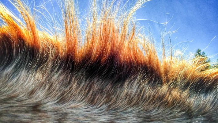 Лауреатами конкурсу стали 57 фотографів з різних країн