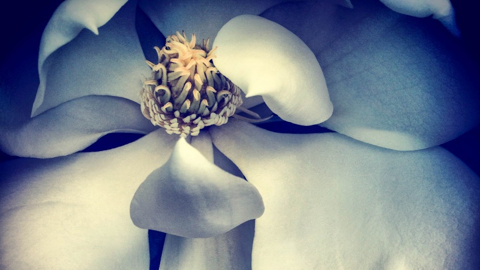 Лауреатами конкурсу стали 57 фотографів з різних країн