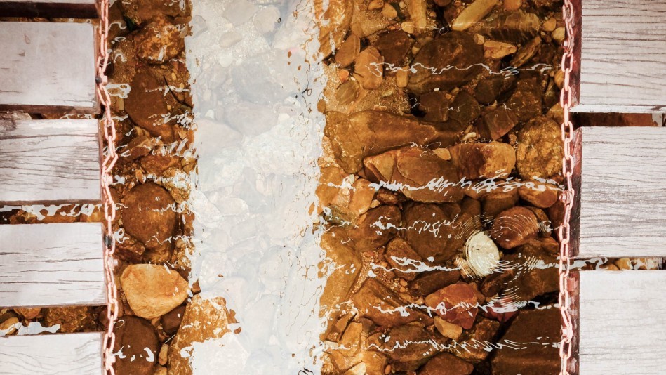 Лауреатами конкурсу стали 57 фотографів з різних країн