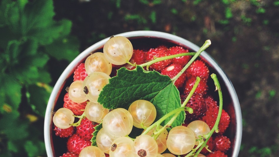 Лауреатами конкурсу стали 57 фотографів з різних країн