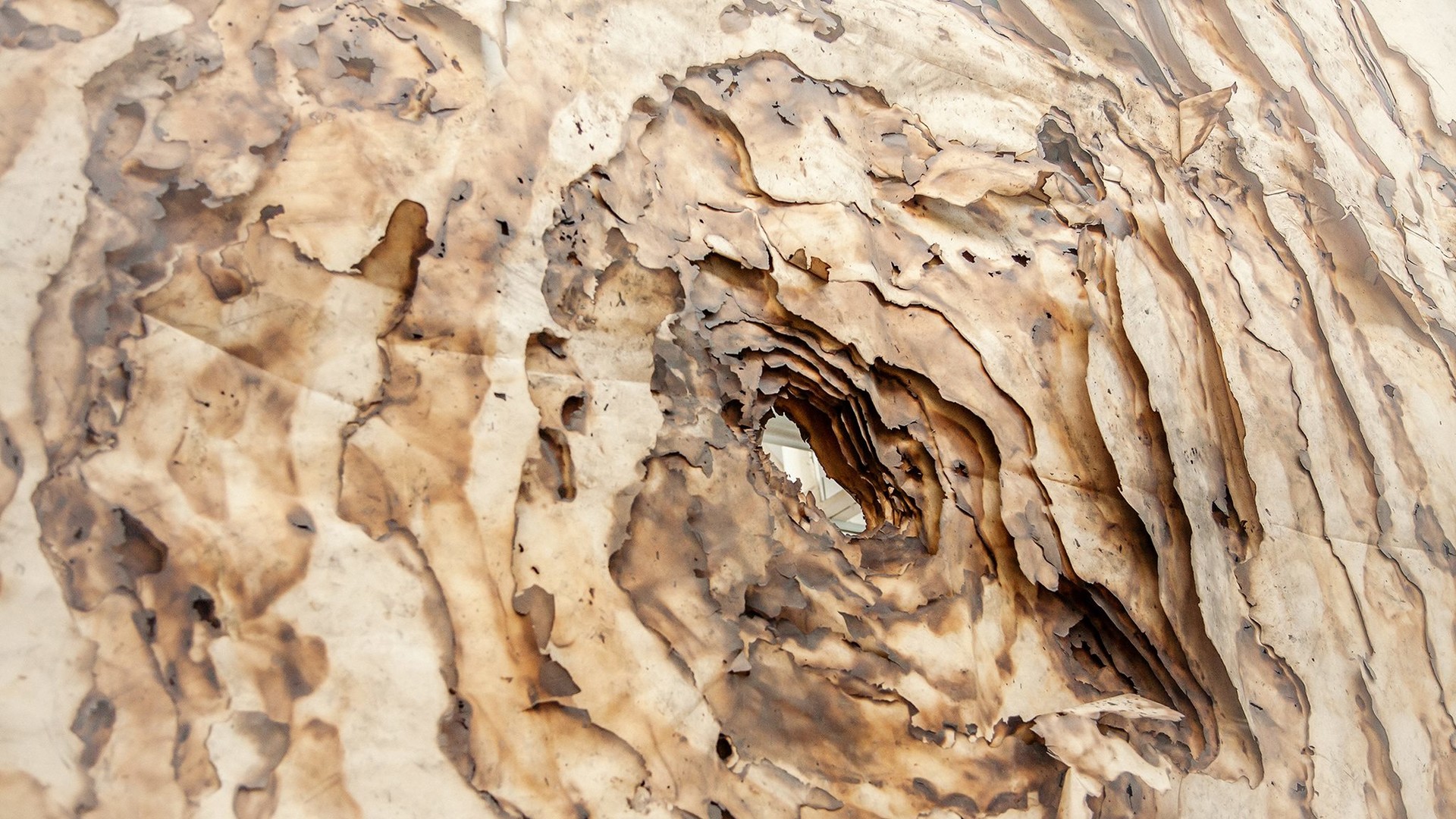 Проект "Декомпрессія"